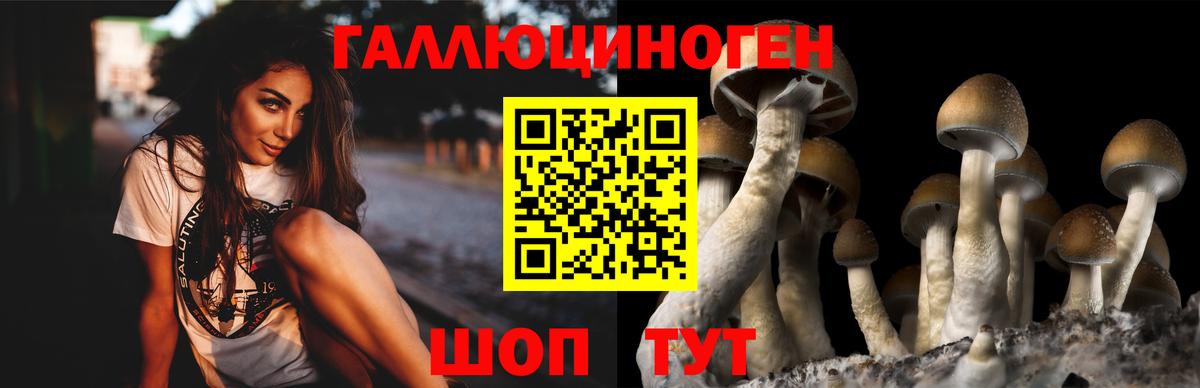 Рузаевка  Галлюциногенные грибы Psilocybe  Псилоцибиновые грибы Psilocybine cubensis  Вход с VPN 